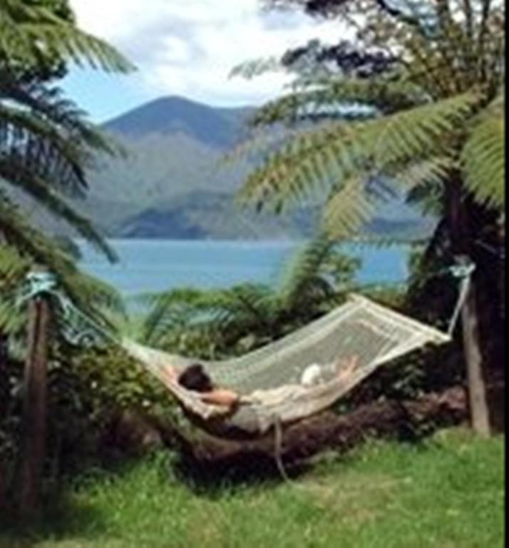 Lochmara Lodge - 20Mins By Boat From Picton Lochmara Bay Exterior photo
