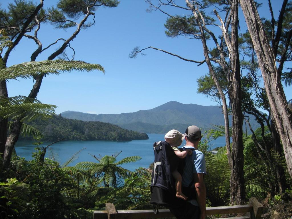 Lochmara Lodge - 20Mins By Boat From Picton Lochmara Bay Exterior photo