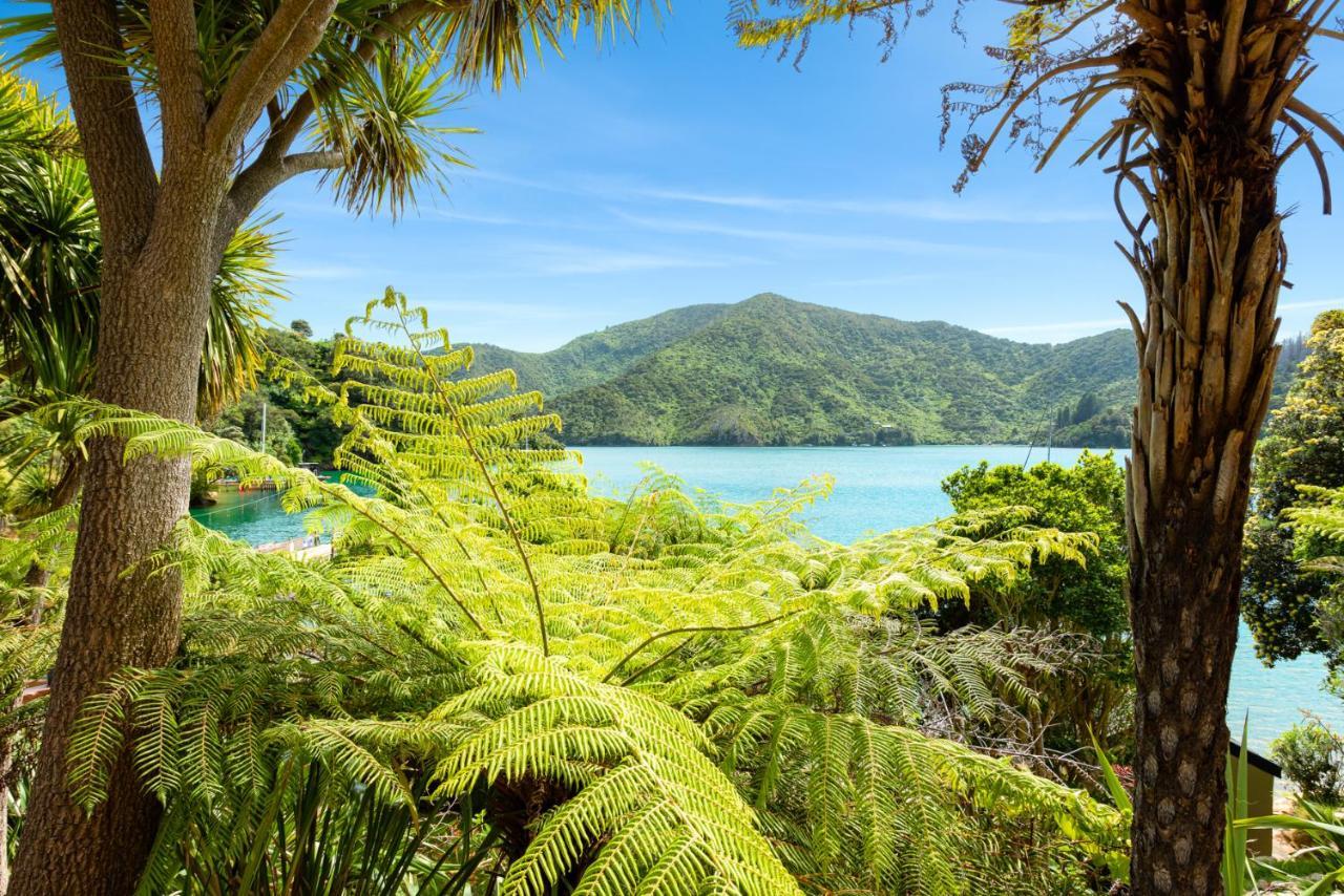 Lochmara Lodge - 20Mins By Boat From Picton Lochmara Bay Exterior photo